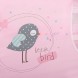 تخت و پارک بازی هاوک Hauck مدل Baby Center Birdie - کد 607565