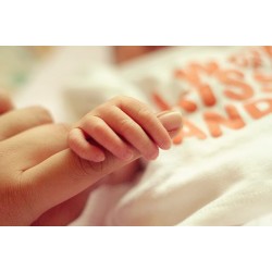 هفته هشتم بارداری